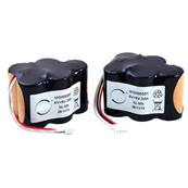 Ensemble de 2 batteries pour aspirateur Ecovacs 6V 3000mAh. Garantie 1 an