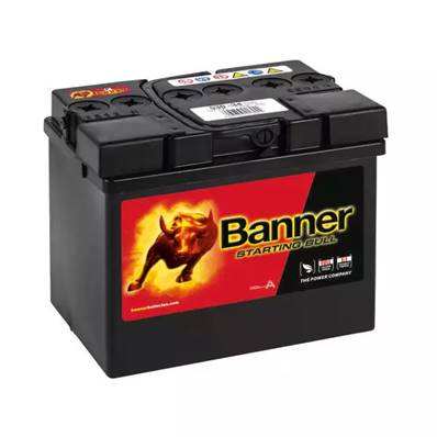 Batterie Banner 53034 12V 30Ah 300A +G. Garantie 6 mois