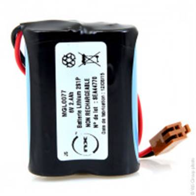 Batterie automate BR-AGCF2W/BR-ACF2P/BR-AGCT-4A 6V Lithium non rechargeable