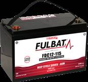 Batterie AGM Carboné FDC12-115AGM 118Ah/C20 - 107Ah/C5 +G. Garantie 1 an