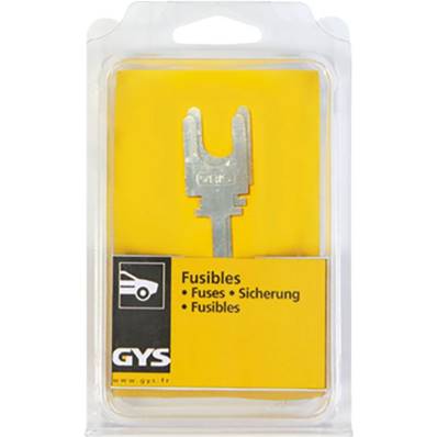 Lot de 2 fusibles 200A Gys 12V/24V