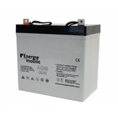 Batterie Energie Mobile 12-23 AGM 12V 23Ah/C20 +G. Garantie 1 an